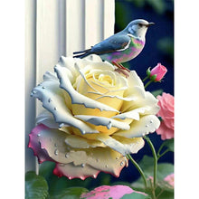 Lade das Bild in den Galerie-Viewer, Hummingbird Moonlight Flower-Voll Round Diamond Painting-30x40cm