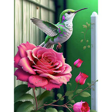 Lade das Bild in den Galerie-Viewer, Hummingbird Moonlight Flower-Voll Round Diamond Painting-30x40cm