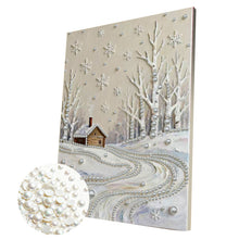 Lade das Bild in den Galerie-Viewer, Partial Pearl Painting mit Rahmen -30x40cm
