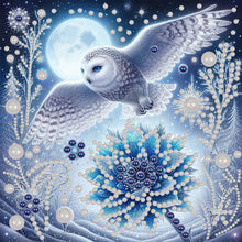 Lade das Bild in den Galerie-Viewer, Tanzendes Mädchen- Special Diamond Painting-30x30cm
