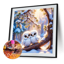 Lade das Bild in den Galerie-Viewer, （ Multi-Größe）Eulen - Diamond Painting
