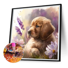 Lade das Bild in den Galerie-Viewer, Goldener Haarpupp - Runder  Diamond Painting- 30*30cm

