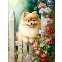 Lade das Bild in den Galerie-Viewer, Dog-Voller Diamond Painting-30x40cm
