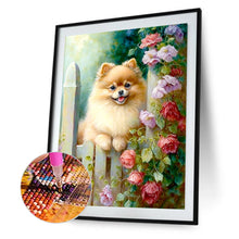 Lade das Bild in den Galerie-Viewer, Dog-Voller Diamond Painting-30x40cm
