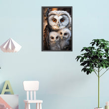 Lade das Bild in den Galerie-Viewer, Eule-Voll Diamond Painting-30x45cm
