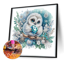 Lade das Bild in den Galerie-Viewer, Eule – Teilweise spezielles Diamantgemälde – 30 x 30 cm
