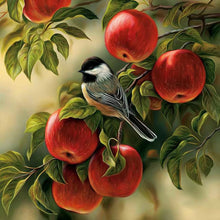 Lade das Bild in den Galerie-Viewer, Obstvogel - teilweise quadratischen Diamanten -
