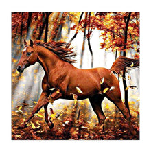 Lade das Bild in den Galerie-Viewer, Pferd - volle Diamant-Malerei - 30x30cm
