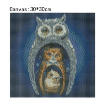 Lade das Bild in den Galerie-Viewer, Adler - volle Diamant-Malerei - 30x30cm
