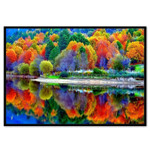 Lade das Bild in den Galerie-Viewer, Bunte Wald - volle Diamant-Malerei - 40x30cm
