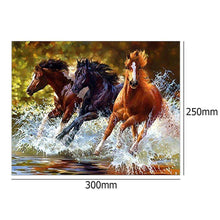 Lade das Bild in den Galerie-Viewer, Pferd - voller runder Diamant - 30x25cm
