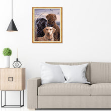 Lade das Bild in den Galerie-Viewer, Hund - volle Diamant-Malerei - 30x25cm
