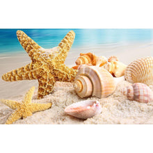 Lade das Bild in den Galerie-Viewer, Conch - voller runder Diamant - 40x30cm
