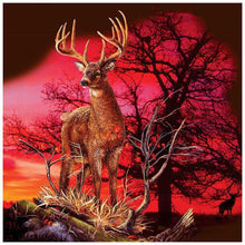 Lade das Bild in den Galerie-Viewer, Hirsch - voller runder Diamant - 30x30cm
