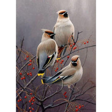 Lade das Bild in den Galerie-Viewer, Vogel - voller runder Diamant - 40x30cm
