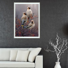 Lade das Bild in den Galerie-Viewer, Vogel - voller runder Diamant - 40x30cm
