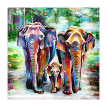 Lade das Bild in den Galerie-Viewer, Elefant - volle Diamant-Malerei - 30x30cm

