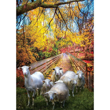 Lade das Bild in den Galerie-Viewer, Tiere - voller quadratischer Diamant - 40x30cm
