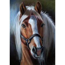 Lade das Bild in den Galerie-Viewer, Pferd - voller runder Diamant - 30x40cm
