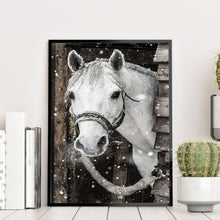 Lade das Bild in den Galerie-Viewer, Pferd - voller runder Diamant - 30x40cm
