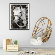 Lade das Bild in den Galerie-Viewer, Pferd - voller runder Diamant - 30x40cm
