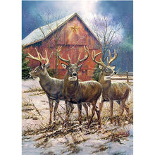 Lade das Bild in den Galerie-Viewer, Hirsch Natur - voller runder Diamant - 40x30cm
