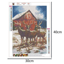 Lade das Bild in den Galerie-Viewer, Hirsch Natur - voller runder Diamant - 40x30cm
