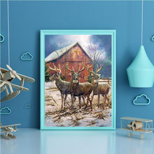 Lade das Bild in den Galerie-Viewer, Hirsch Natur - voller runder Diamant - 40x30cm
