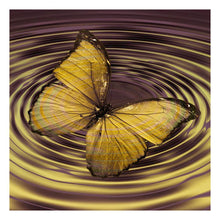 Lade das Bild in den Galerie-Viewer, Schmetterling - voller runder Diamant - 30x30cm
