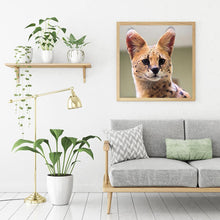 Lade das Bild in den Galerie-Viewer, Katze - voller runder Diamant - 30x30cm
