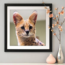 Lade das Bild in den Galerie-Viewer, Katze - voller runder Diamant - 30x30cm
