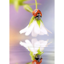 Lade das Bild in den Galerie-Viewer, Blume Marienkäfer - voller runder Diamant - 30x40cm
