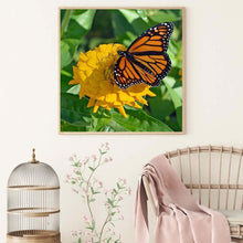 Lade das Bild in den Galerie-Viewer, Schmetterling - voller runder Diamant - 30x30cm
