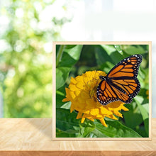 Lade das Bild in den Galerie-Viewer, Schmetterling - voller runder Diamant - 30x30cm
