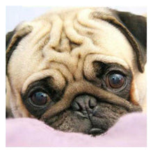 Lade das Bild in den Galerie-Viewer, Hund - voller runder Diamant - 30x30cm
