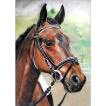 Lade das Bild in den Galerie-Viewer, Pferd - volle Diamant-Malerei - 30x40cm
