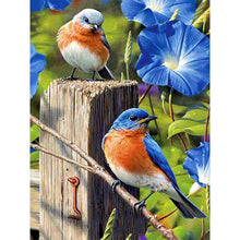 Lade das Bild in den Galerie-Viewer, Vogel - volle Diamant-Malerei - 40x30cm

