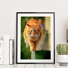 Lade das Bild in den Galerie-Viewer, Katze - volle Diamant-Malerei - 30x40cm
