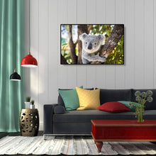 Lade das Bild in den Galerie-Viewer, Koala - volle Diamant-Malerei - 40x30cm
