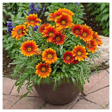 Lade das Bild in den Galerie-Viewer, Blumenstrauß - voller runder Diamant - 30x30cm
