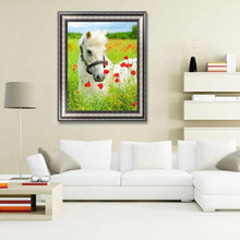 Lade das Bild in den Galerie-Viewer, Pferd - volle Diamant-Malerei - 40x30cm
