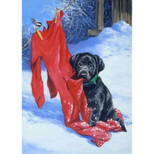 Lade das Bild in den Galerie-Viewer, Hund - volle Diamant-Malerei - 40x30cm
