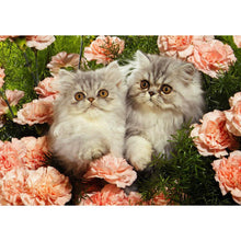 Lade das Bild in den Galerie-Viewer, Blume Katze - volle Diamant-Malerei - 40x30cm
