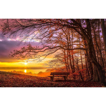Lade das Bild in den Galerie-Viewer, Wald Sonnenuntergang - volle Diamant-Malerei - 40x30cm
