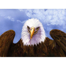 Lade das Bild in den Galerie-Viewer, Adler - volle Diamant-Malerei - 30x40cm
