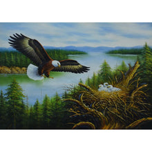 Lade das Bild in den Galerie-Viewer, Adler - volle Diamant-Malerei - 30x40cm
