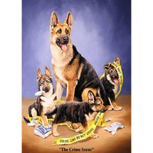 Lade das Bild in den Galerie-Viewer, Hund - volle Diamant-Malerei - 30x40cm
