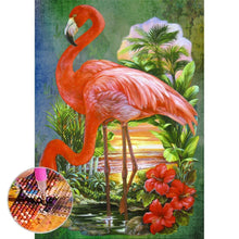 Lade das Bild in den Galerie-Viewer, Vogel - volle Diamant-Malerei - 30x40cm
