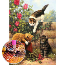 Lade das Bild in den Galerie-Viewer, Katzen - volle Diamant-Malerei - 30x40cm

