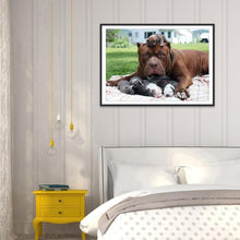 Lade das Bild in den Galerie-Viewer, Hund - volle Diamant-Malerei - 30x40cm
